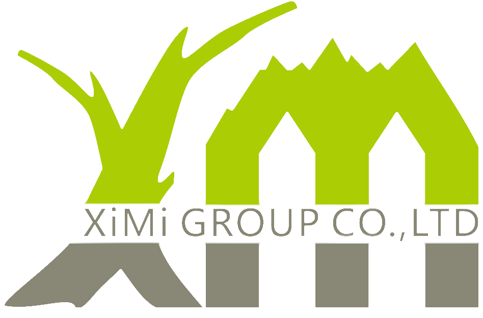 XiMi Group 透明Logo