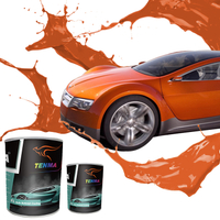 New Generation Fast Drying Paint Supplier